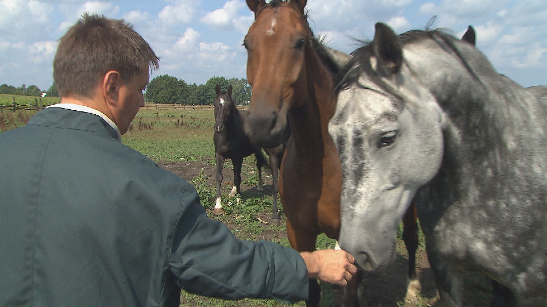 Ndr Nordreportage Achtung Tierkontrolle Holstein Media